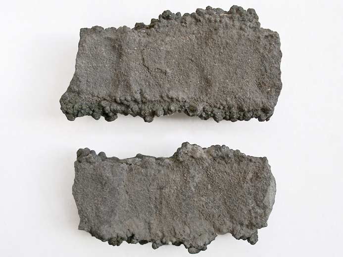 Ichnofossile: terrier pyritis jurassique Boulonnais